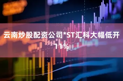 云南炒股配资公司*ST汇科大幅低开11%